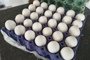 4509-achei-sudoeste-ovos