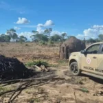 7883-achei-sudoeste-fornos-ilegais-destruidos-em-carinhanha