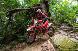 Captura-de-tela-2026-01-19-170152