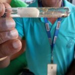 Dengue-aedes-aegypti-Foto-Matheus-Pereira-Gov-BA-070126