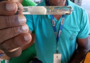 Dengue-aedes-aegypti-Foto-Matheus-Pereira-Gov-BA-070126