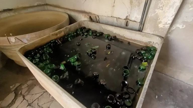 Fabricas-clandestinas-de-bebidas-1