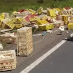 Homem-morre-apos-caminhao-de-frangos-tombar-na-BR-101-Foto-Reproducao-Blog-Marcos-Frahm-300126