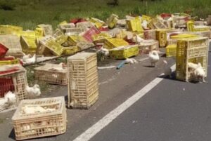 Homem-morre-apos-caminhao-de-frangos-tombar-na-BR-101-Foto-Reproducao-Blog-Marcos-Frahm-300126