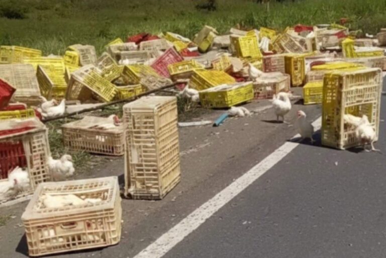 Homem-morre-apos-caminhao-de-frangos-tombar-na-BR-101-Foto-Reproducao-Blog-Marcos-Frahm-300126