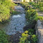 Moradores-reclamam-de-situacao-do-corrego-no-bairro-Irma-Dulce-em-Feira-de-Santana-Foto-Paulo-Jose-Acorda-Cidade