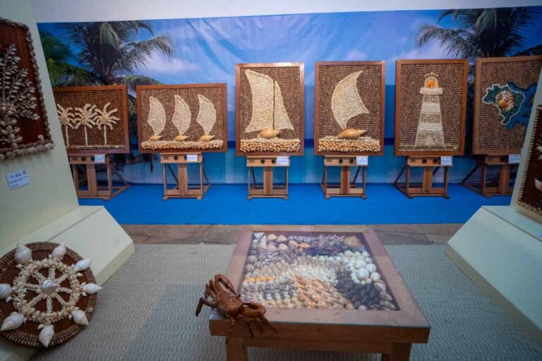Mostra-Conchas-Preciosas-encerra-temporada-com-publico-de-quase-5-mil-pessoas