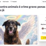 Peticao-pede-justica-pelo-cao-Orelha-Foto-Divulgacao