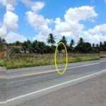 Radar-em-trecho-da-BR-116-Foto-Calila-Noticias-