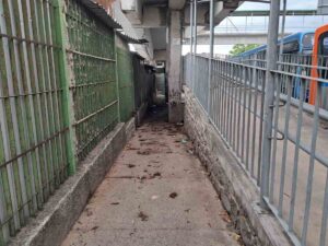 Sanitario-publico-a-ceu-aberto-provoca-transtornos-ao-lado-do-Terminal-Central-Foto-Ney-Silva-Acorda-Cidade-290126