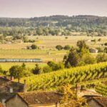 Viagem-trem-Franca-Foto-Divulgacao-300126