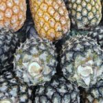 abacaxi-feirinha-da-estacao-nova-em-Feira-de-Santana-foto-Paulo-Jose-Acorda-cidade-01