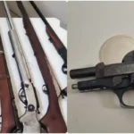 armas-apreendias
