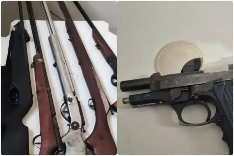 armas-apreendias