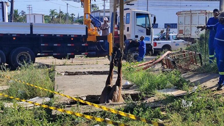 cavalo-morre-apos-cair-em-buraco-no-bairro-tomba-foto-reproducao-