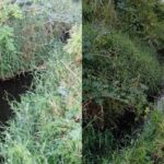 corrego-av-sergio-carneiro-290126