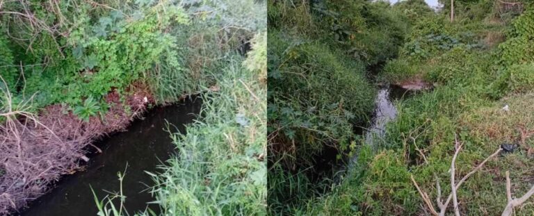 corrego-av-sergio-carneiro-290126