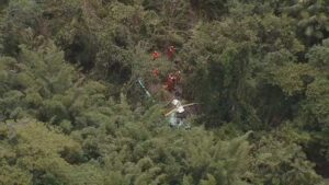 foto-reproducao-rj1-2