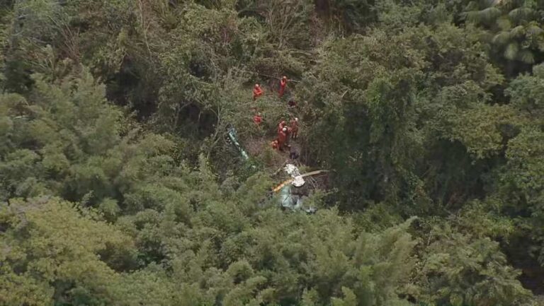 foto-reproducao-rj1-2