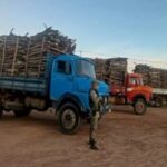 madeira-apreendida-em-guanambi