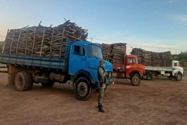 madeira-apreendida-em-guanambi