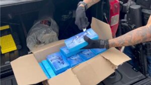 material-droga-cocaina-apreendida-em-casa-de-Feira-de-Santana-foto-reproducao-