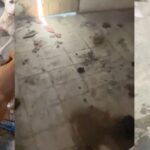 maus-tratos-policia-civil