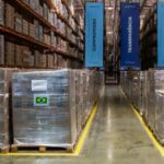 medicamentos-foto-Rafael-Nascimento-MS