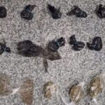 Apreensao-de-drogas-foto-divulgacao-