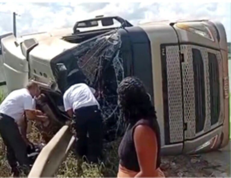 Caminhao-com-bovinos-tomba-Foto-Reproducao-Radar-News