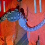 Cobra-e-resgatada-em-Bom-Jesus-da-Lapa-Foto-WhatsApp-Achei-Sudoeste-060226