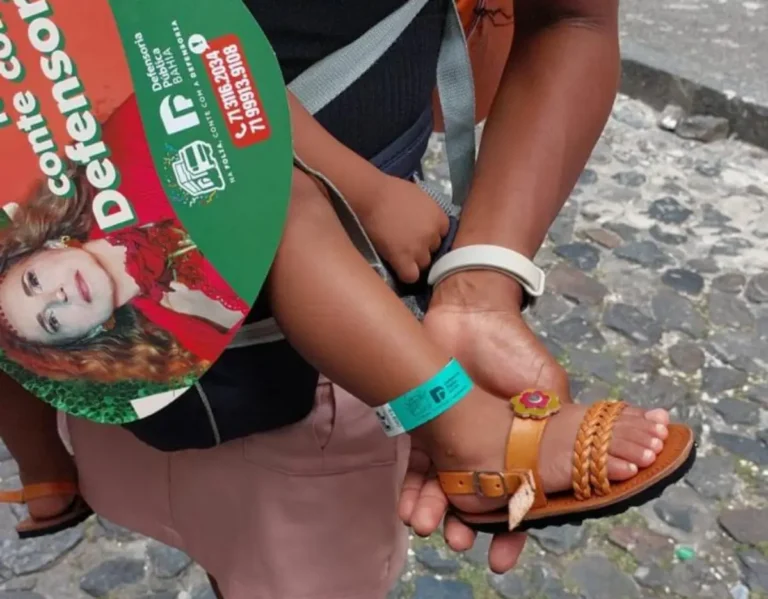 DPE-Dez-mil-pulseirinhas-de-identificacao