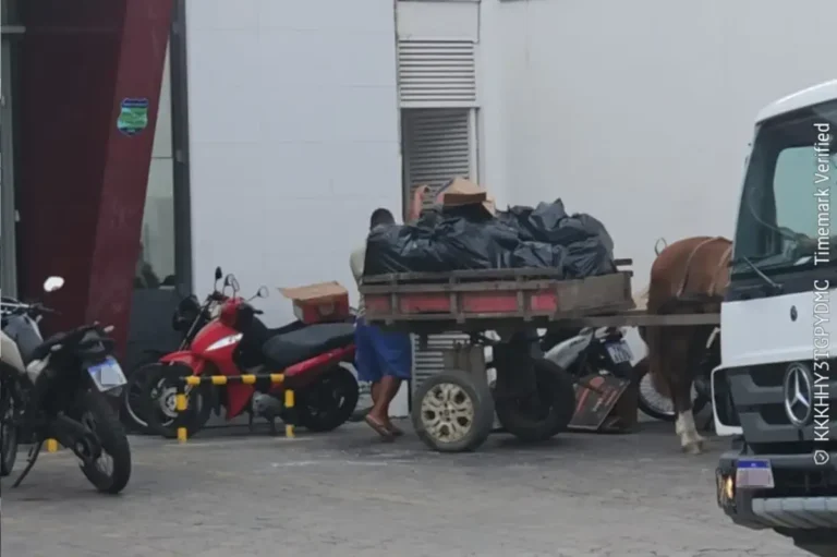 Descarte-irrgular-empresa-multada-