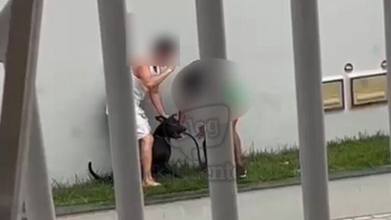 Homem-agride-mulher-em-Santo-Antonio-de-Jesus-apos-briga-de-cachorro-foto-reproducao-