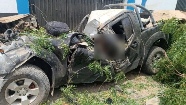 Nissan-Frontier-capota-e-colide-com-arvore-na-BA-393-foto-reproducao-Pa4