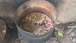 Operacao-Harpia-esquema-de-abate-ilegal-de-gado-foto-reproducao-