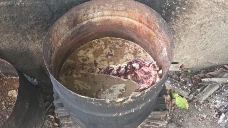 Operacao-Harpia-esquema-de-abate-ilegal-de-gado-foto-reproducao-