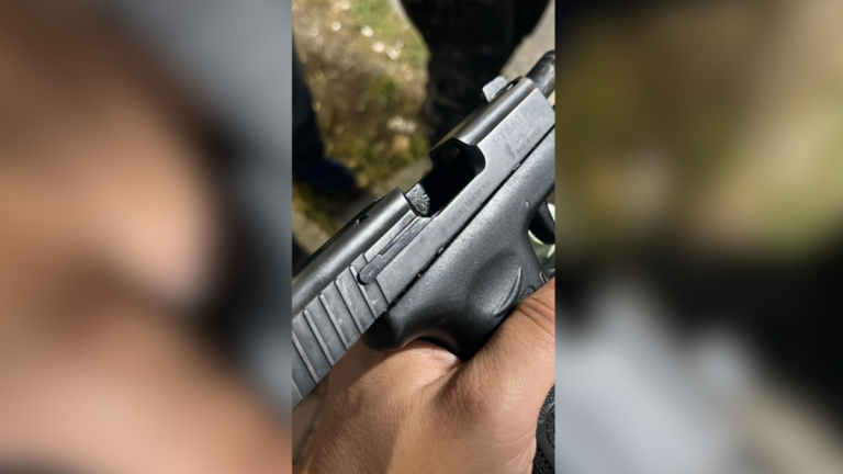 Pistola-apreendida-com-cordeiro-durante-o-Carnaval-de-Salvador-em-2026-foto-reproducao-