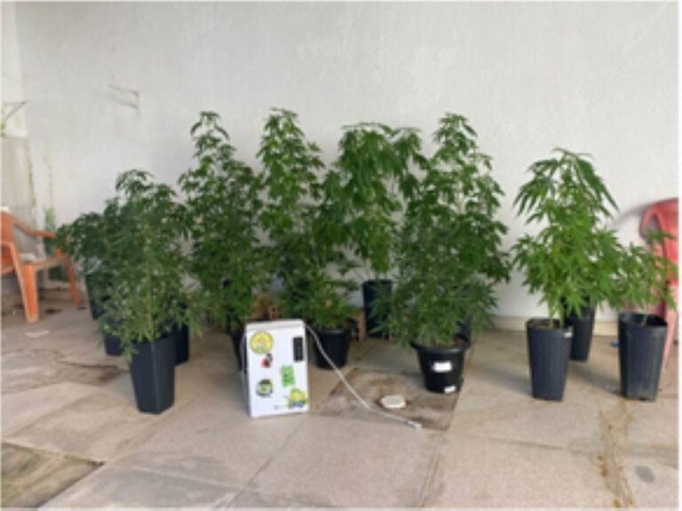 Policia-Civil-desmonta-base-de-preparo-e-distribuicao-de-drogas-em-Porto-Seguro-Foto-Reproducao-Radar-News