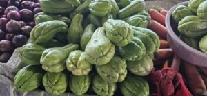 Preco-do-chuchu-sofre-reajuste-no-Centro-de-Abastecimento-de-Feira-de-Santana-Foto-Paulo-Jose-Acorda-Cidade-4