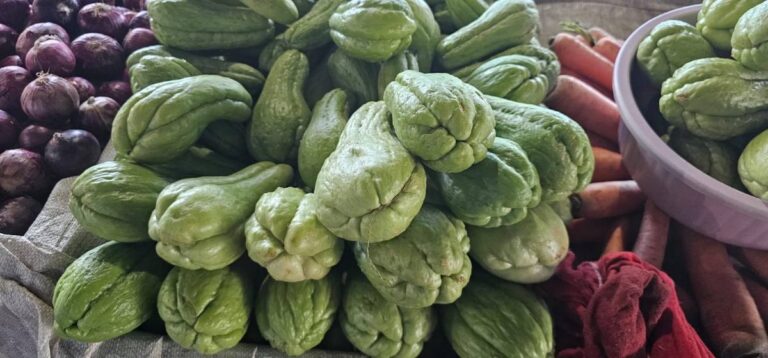 Preco-do-chuchu-sofre-reajuste-no-Centro-de-Abastecimento-de-Feira-de-Santana-Foto-Paulo-Jose-Acorda-Cidade-4