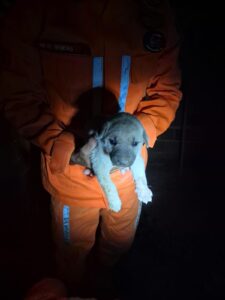 bombeiros-resgatam-filhote-cachorro-030226