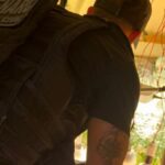 pes-de-maconha-foto-divulgaao-policia-