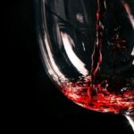 vinho-bebida-foto-divulgacao-