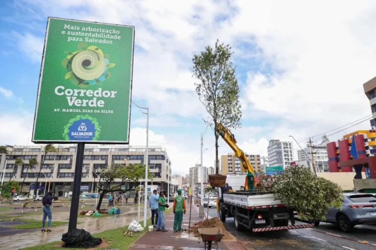 Arborizacao-em-Salvador-1-1