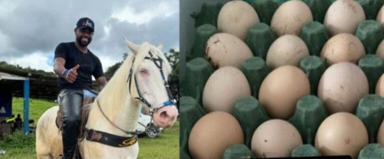 Davi-Brito-comeca-a-vender-ovos-caipiras-Fotos-Reproducao-Redes-Sociais-020326