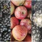 Frutas-feirinha-da-estacao-nova-ft-paulo-jose-acorda-cidade-1