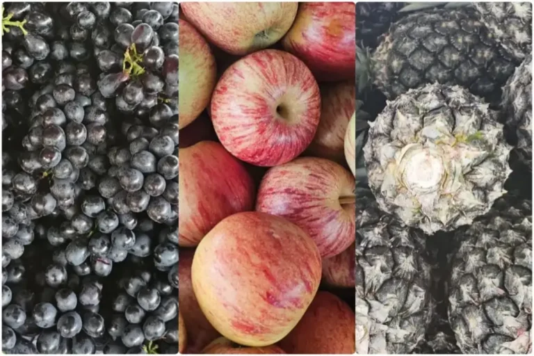 Frutas-feirinha-da-estacao-nova-ft-paulo-jose-acorda-cidade-1