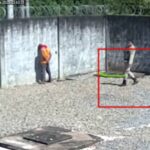 Homens-sao-condenados-a-nove-anos-de-prisao-por-roubo-de-cabos-da-Neoenergia-Coelba-Foto-Reproducao-170326