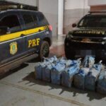 PRF-PF-e-PM-apreendem-410-kg-de-cocaina-no-oeste-da-Bahia-Foto-Policia-Rodoviaria-Federal-